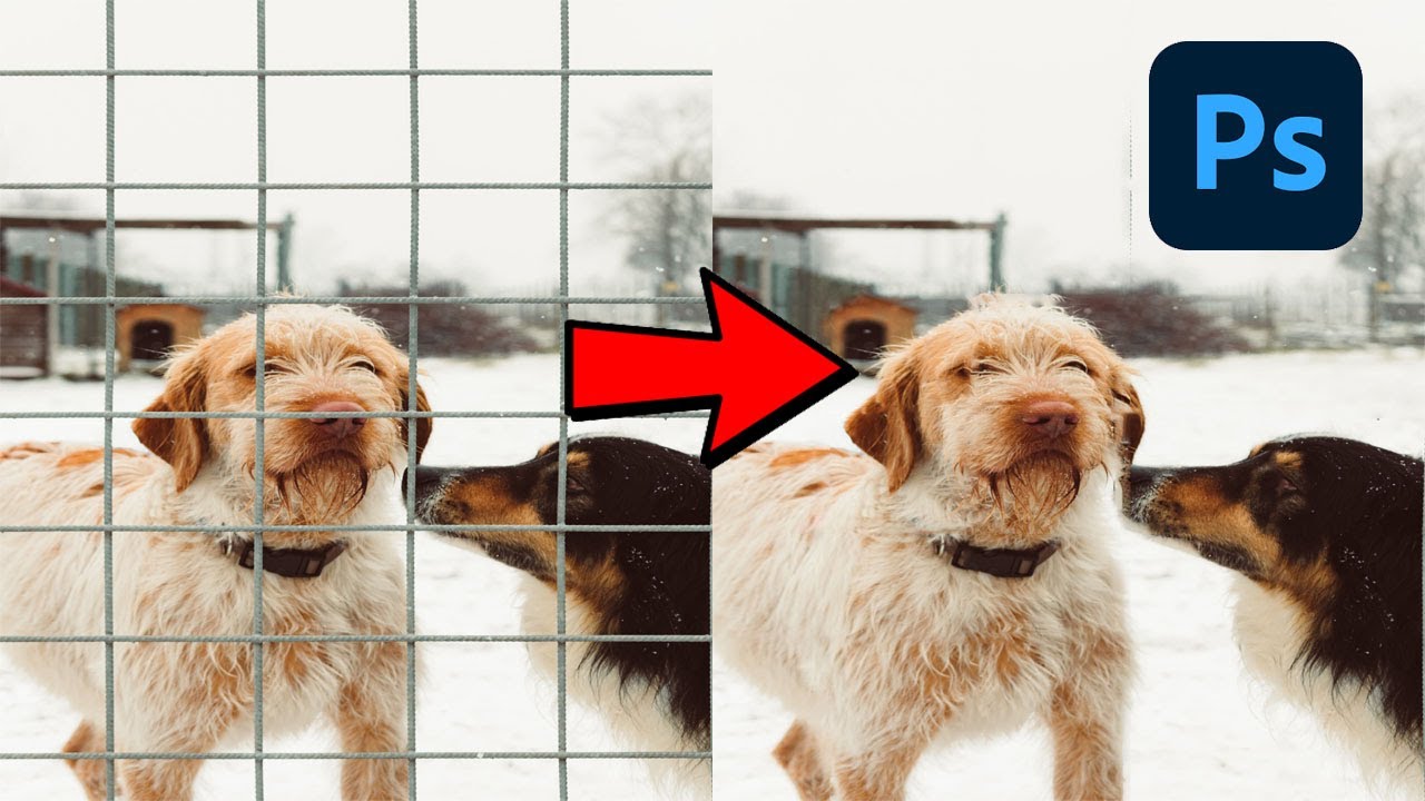 How to remove fence from any picture tutorial Urdu/Hindi