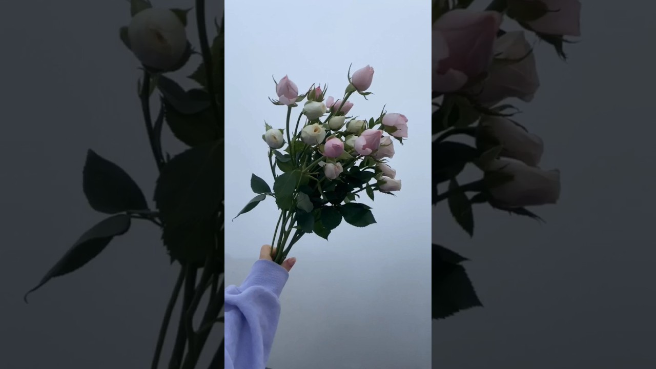 Someone is waiting for you ❤ whatsapp status | love status