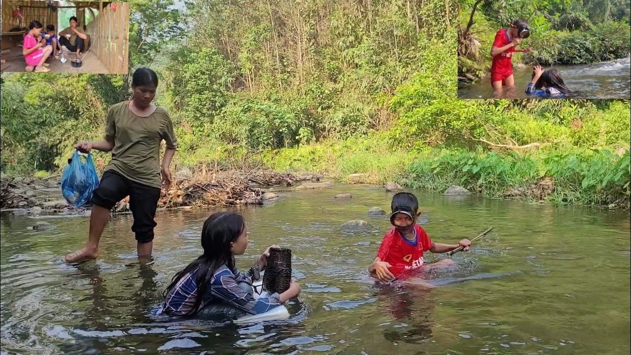 Mother and two brothers went to catch stream fish to cook - YouTube