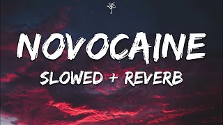 Shiloh Dynasty - Novocaine (Lyrics) Slowed   Reverb