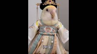 this parrot unlocked every country’s skin 🦜✨#parrot #costumechange #aivideo #worldcultures #fashion