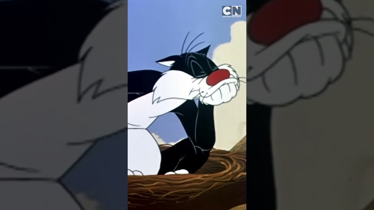 Cat Sitting | Looney Tunes on Cartoon Network Asia 