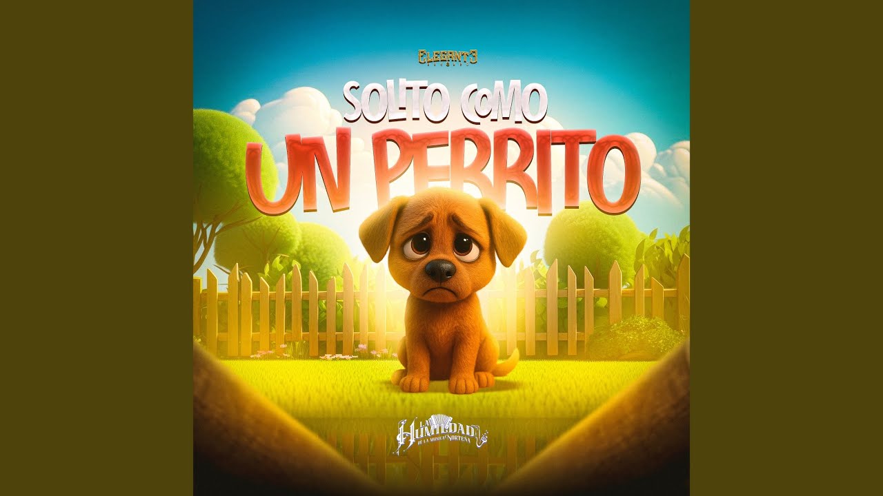 Solito Como Un Perrito