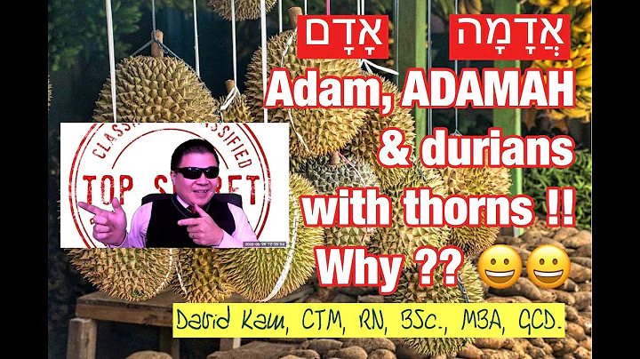 TAVTEACH Adam, Adam and the reason for durians wit...