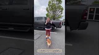 Welcome Gwendolyn, a corgi by Julie's K9 Academy 35 views 20 hours ago 1 minute, 23 seconds