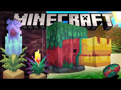 Video: Hvad er hase i minecraft?