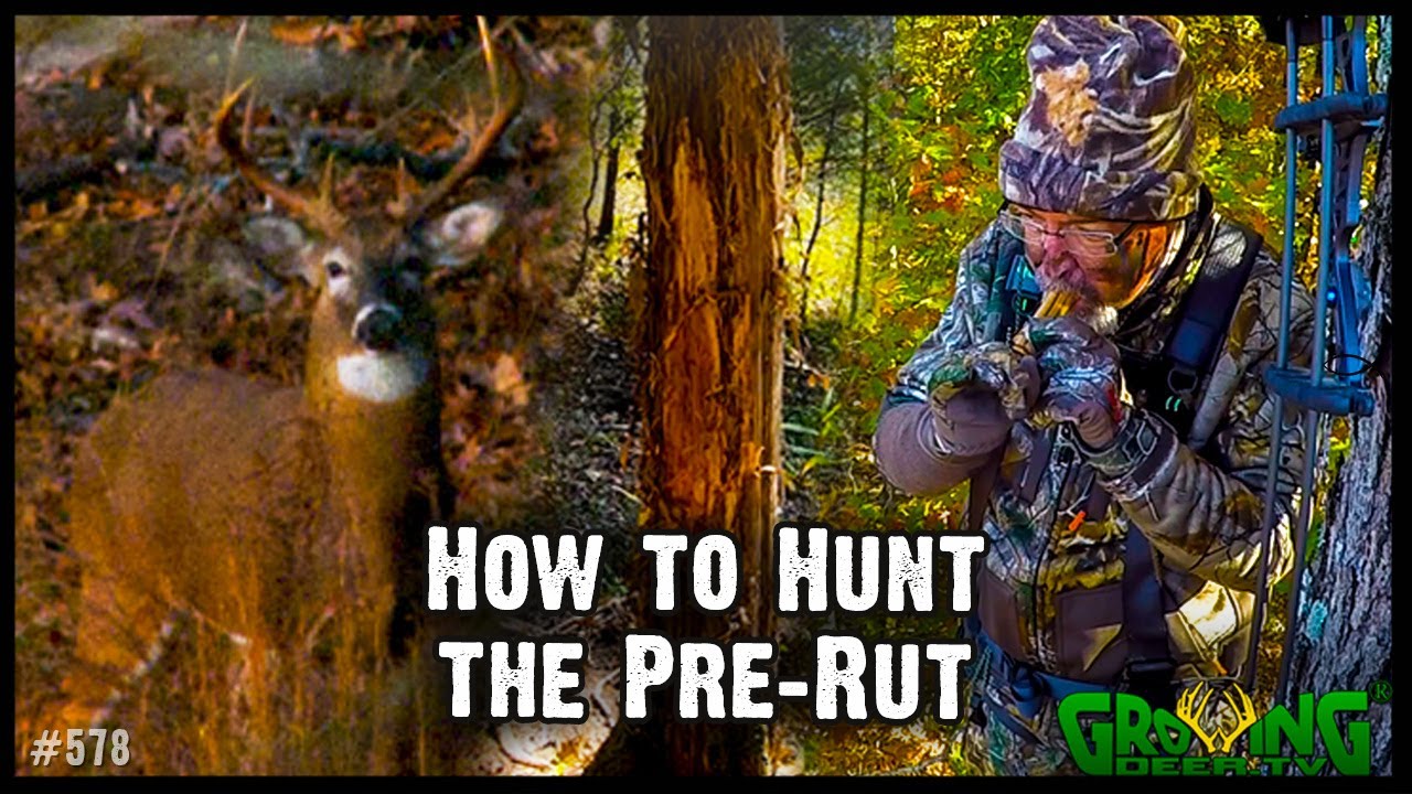 8 Tips for Hunting the Pre-Rut  | Myth Buster - Deer Activity is NOT Based On  Moon Phase (578)