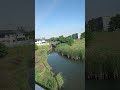 本日の綾瀬川。7/8-3