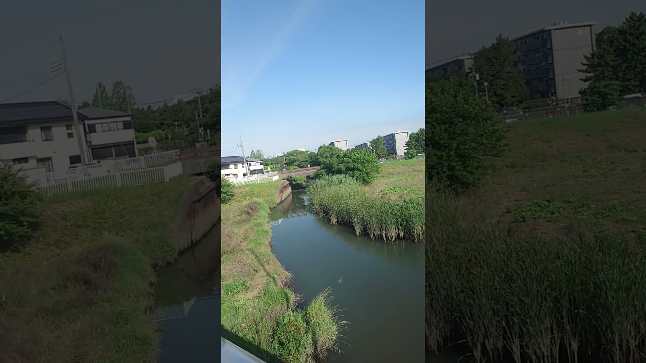 本日の綾瀬川。7/8-3