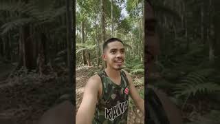 #reggae #music #reggaewine #reggaewine palawan
