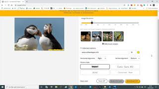 Crear animaciones GIF gratis y online con EasyGIF screenshot 2