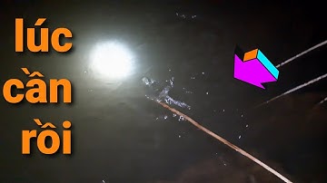 cắm câu cá lóc mồi dế nhủi trong vườn dừa đụng độ hàng khủng // fishing in viet nam