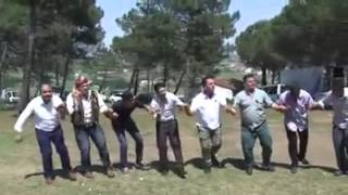 Halay sofular