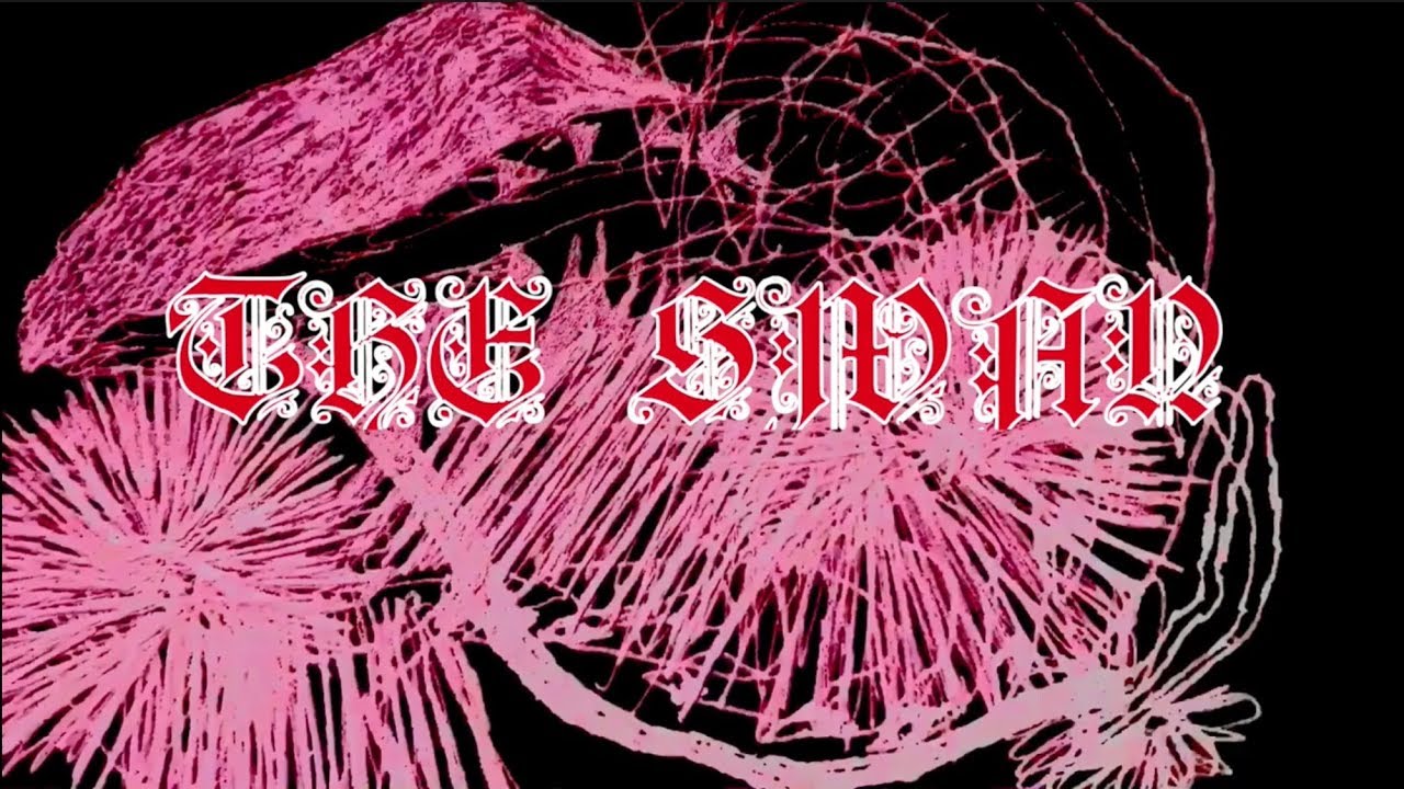 DYR FASER - The Swan