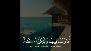 تلاوات قران كريم #رعد_الكردي #تلاوة_خاشعة #تلاوات #quran #قرآن