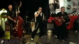 Little Taver & His Crazy Alligators - Boogie woogie country man - February 2012