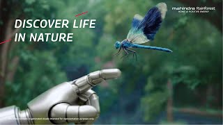 Discover the moods of nature at Mahindra Rainforest