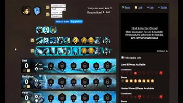 Guild Wars 2 Guardian Leveling Build