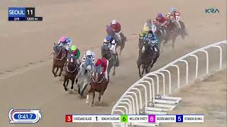 Vidéo de la course PMU RACE 11