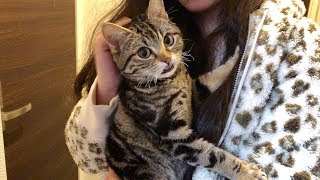 妹のお出かけがさみしすぎて全力で止めに来てしまう猫ｗ