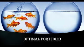 Optimal Portfolio