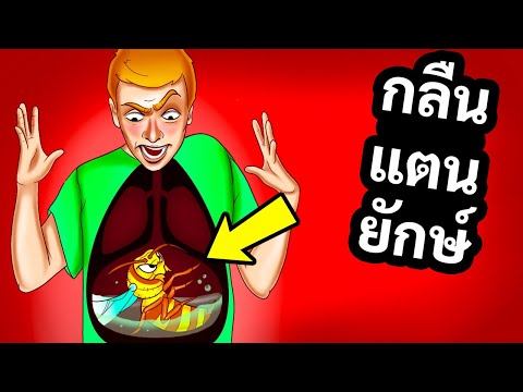 วีดีโอ: จะเกิดอะไรขึ้นถ้าคุณโดนผึ้งดำต่อย?