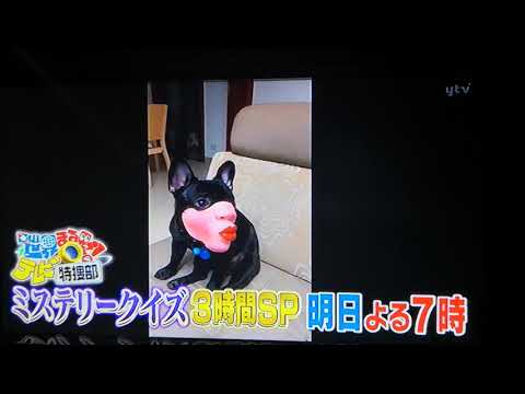 安室奈美恵さんの1分CM