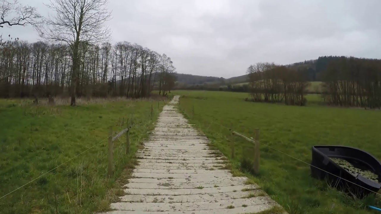 Energize Walking Group