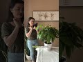 Plant App - Plant Identifier