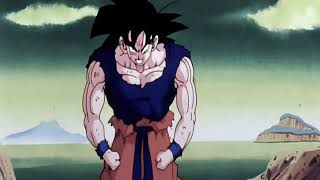 Goku Rage Amv