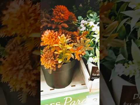 صلوا على النبي دعاء مستجاب الله اكبر Flowers لا اله الا الله Nature قران كريم اكسبلور ترند