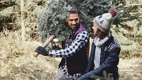 You can now get your Christmas tree permits for two Arizona forests