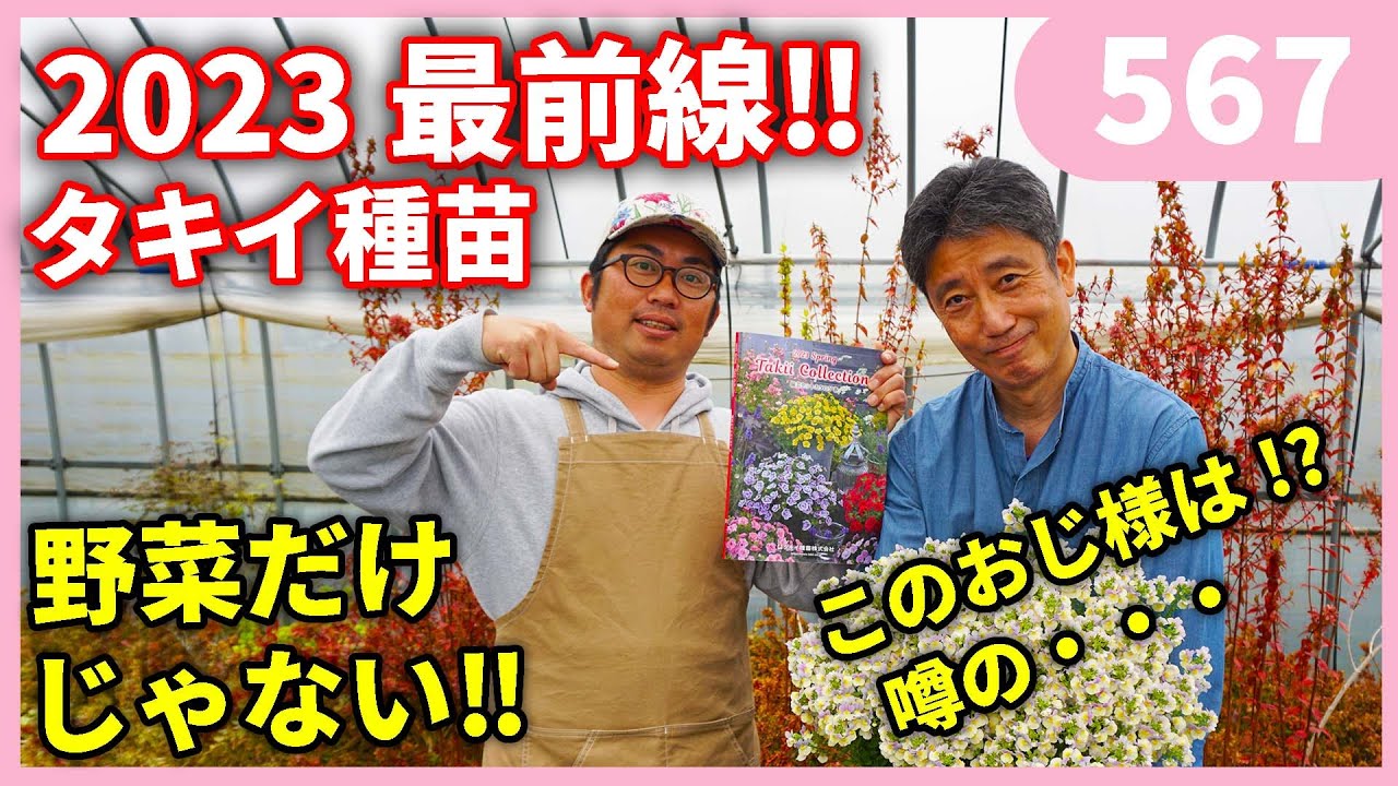 Spring/Summer 2023 Takii Seeds Recommended Varieties [Part 1] by