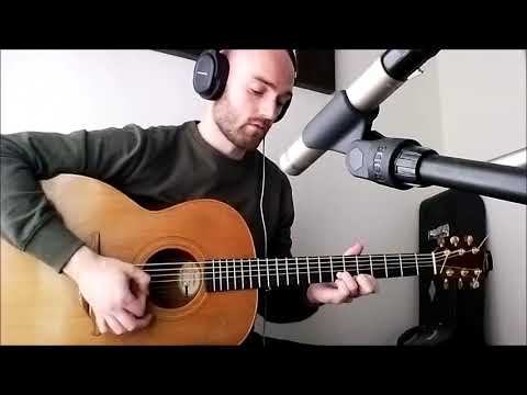 Levels - Avicii - Acoustic Guitar Loop Pedal Cover