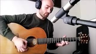 Levels - Avicii - Acoustic Guitar Loop Pedal Cover