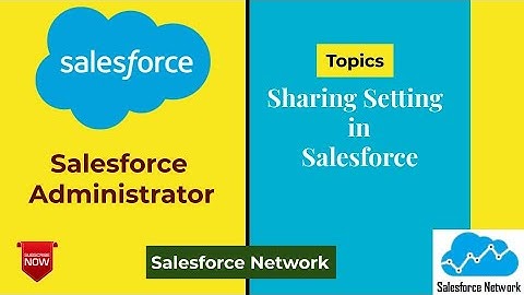 Sharing Rules in salesforce, Different Sharing Setting in salesforce