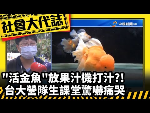 《社會大代誌》"活金魚"放果汁機打汁?! 台大營隊生課堂驚嚇痛哭│中視新聞 20230714
