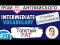 37 Fat - толстый  Intermediate vocabulary of synonyms  OK English