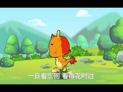 006 兰花草 高清