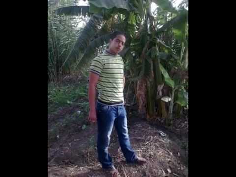 مهرجان انفجار العلوايه من عفاريت سيدى بشر