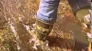 MSV. Field puddles flooding & breaking ice in my GRUBS Treeline 10.5 TRE-MOBUH insulated boots.