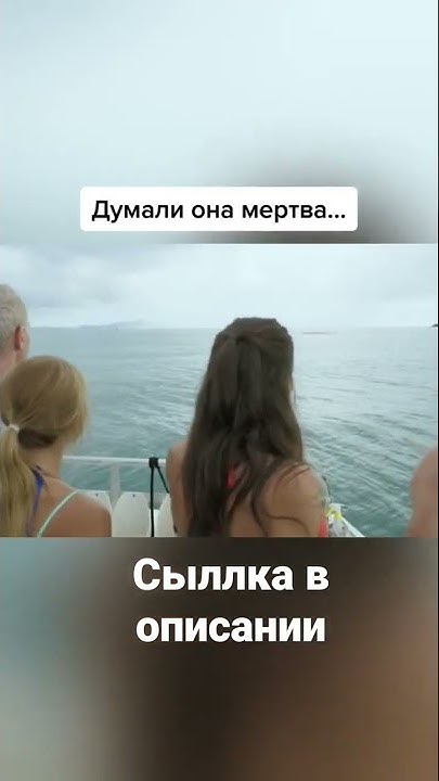 фильм акула - YouTube