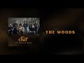 Miniature de la vidéo de la chanson The Woods
