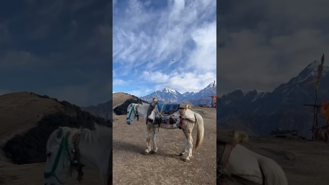 Video thumbnail: #beautifuldestinations #incredibleindia #travel #uttarakhand #mountains #trekshorts #brahmataltrek