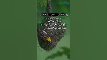#عبدالباسط_عبدالصمد #سورة_الحشر
