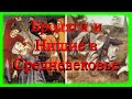 Бродяги и Нищие в Средневековье (часть 2 из 3-х) || Подпишись 👇