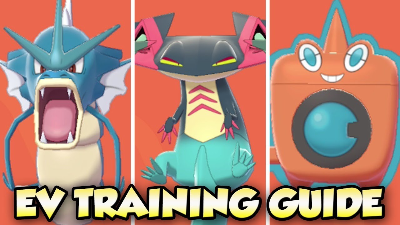 Guide: EV Training In Pokemon Sword And Shield – NintendoSoup