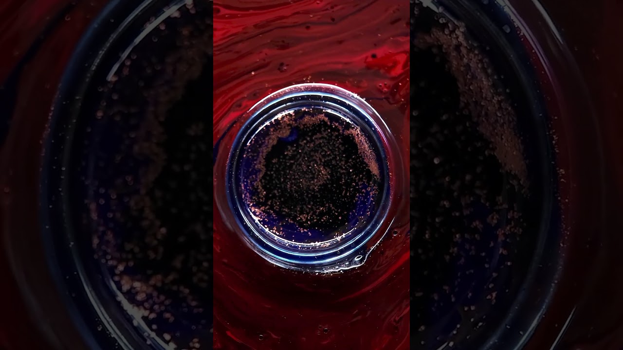 Watch OXYMOSOON - NARCISSISM - B1 Come Inside on YouTube Watch OXYMOSOON - NARCISSISM - B1 Come Inside on YouTube