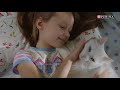 Purina in society our 10 commitments