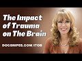 The Neurobiological Impact of Psychological Trauma: Understanding the Impact of Trauma on the Brain